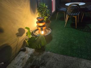 een terras met planten en een tafel met een lamp bij ptit coin hibiscus in Pointe-Noire