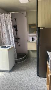 a kitchen with a refrigerator and a sink at Cosy studio in Port Louis