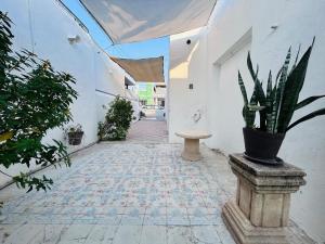 an empty hallway with a potted plant in a building at Casa Playa Blanca in Progreso