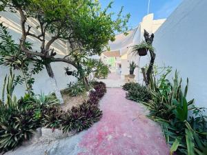 a pathway leading to a house with potted plants at Casa Playa Blanca in Progreso