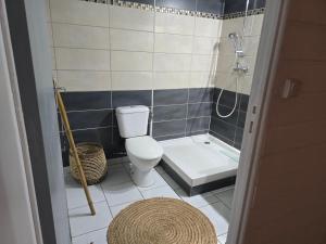 een kleine badkamer met toilet en douche bij ptit coin hibiscus in Pointe-Noire