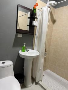 a bathroom with a sink and a toilet and a mirror at Milos Hostel in Santa Ana +44 photos