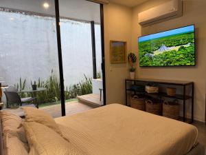 ein Schlafzimmer mit einem Bett und einem TV an der Wand in der Unterkunft Penca Suites Valladolid in Valladolid