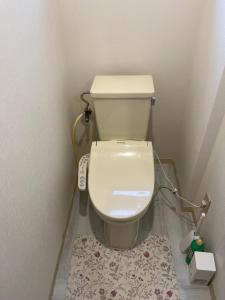 een kleine badkamer met een toilet in de hoek bij Shinehouse2 in Kawaguchi