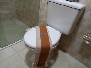 Afbeelding uit fotogalerij van Casa Terras de Minas in Gonçalves +138 foto's