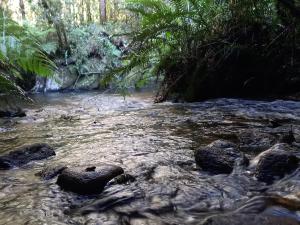 a stream in a forest with rocks in the water at Rio Privativo, Piscina e Starlink - Casa Terras de Minas in Gonçalves