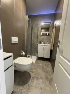 Et badeværelse på unit_type_semidetached_house Umag 55102