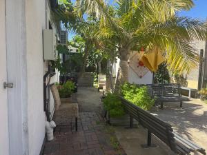 En have udenfor Kings Cottage