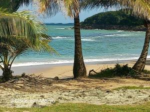 een strand met twee palmbomen en de oceaan bij kaz a gabou in Sainte-Rose