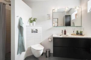 een badkamer met een toilet, een wastafel en een spiegel bij 719-Thyboron-Fanovej-3 in Thyborøn +19 foto's