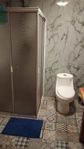 蒙特港Cabin with Jacuzzi的带卫生间和步入式淋浴间的浴室