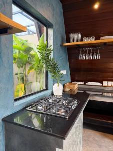 a kitchen with a stove with a potted plant on it at Kurunda Estate Villa in Tangalle