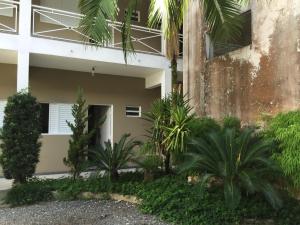 a building with palm trees in front of it at Smart Hotel in Registro
