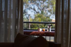 a table with two cups and oranges on a window at La Costa Shoal Bay in Shoal Bay