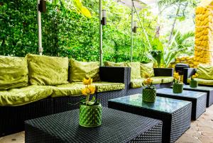 un patio con sofás y mesas con flores amarillas en Hotel Aurora, en Montezuma