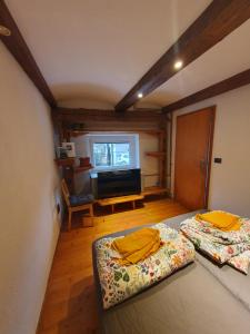 una stanza con due letti e una televisione di ALPINE VILLAGE APARTMENT with a private terrace, garden, and parking - at a walking distance from LAKE BLED a Bohinjska Bela