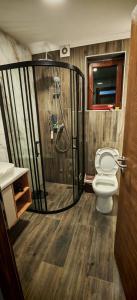 een badkamer met douche en toilet bij Suncani Breg in Crni Vrh