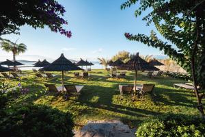 Naturlandskabet i nærheden af hotellet