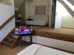 TV a/nebo společenská místnost v ubytování Domaine de la Gaucherie