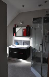 een badkamer met een wastafel en een douche bij Les Terrasses de Daglan in Daglan