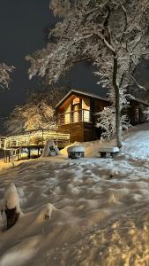 Qazaq Garden om vinteren