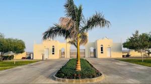 a palm tree in front of a white building at سمارا أدم SAMARA Adam in Ādam +17 photos