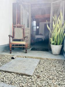 a room with a chair and a potted plant at Azure Coast Villa in Ahangama