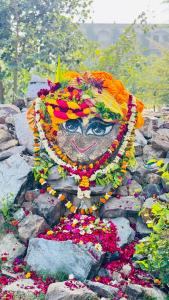 Zahrada ubytování Iskcon Govardhan Retreat Center