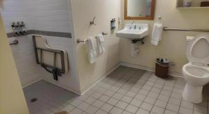 een badkamer met toilet en wastafel bij Volcano House in Volcano