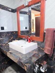 een badkamer met een wastafel en een spiegel bij The Nature Park Villa in Sigiriya