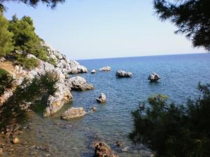 Príroda v okolí apartmánu