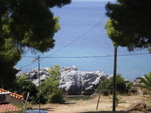 Príroda v okolí apartmánu
