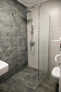 ein Badezimmer mit Glasdusche und WC in der Unterkunft Casa Frent in Predeal