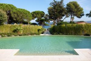 Πισίνα στο ή κοντά στο Villa Maxima
