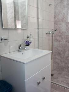 Et badeværelse på Cozy apartment in Ialyssos