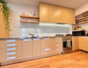 een keuken met een spoelbak en een fornuis bij The Painters Loft in Dunedin