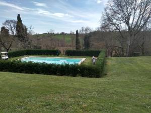 une personne debout à côté d'une piscine dans un champ dans l'établissement Chateau de Savignac-Mona, à Savignac-Mona