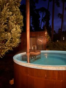 ein Whirlpool in einem Hinterhof bei Nacht in der Unterkunft Kulautuva Park Apartments in Kulautuva