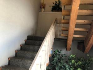 a set of stairs in a house with a plant at Eagles Nest Lodging in Hinton
