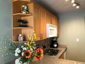 Afbeelding uit fotogalerij van Eagles Nest Lodging in Hinton +2 foto's