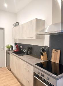 een keuken met witte kasten en een kookplaat oven bij Appartement Du Lot in Entraygues-sur-Truyère