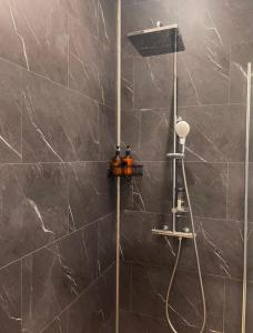 een douche met een douchekop in een badkamer bij Appartement Du Lot in Entraygues-sur-Truyère