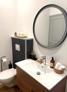 une salle de bains avec un lavabo et un miroir dans l'établissement Appartement Du Lot, à Entraygues-sur-Truyère