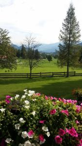 Paesaggio naturale nelle vicinanze dell'affittacamere
