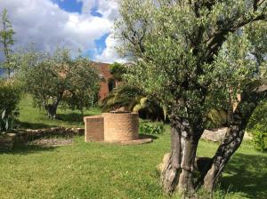 Jardín al aire libre en Il Podere Degli Ulivi