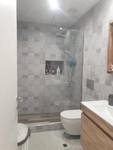 a bathroom with a shower and a toilet and a sink at Mimis House in Tsotílion +9 photos