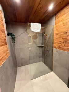 a shower with a glass door in a bathroom at Spago am Hochkönig in Mühlbach am Hochkönig +67 photos