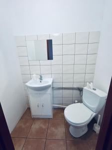 une salle de bains avec toilettes et lavabo dans l'établissement Jabłoń w Ogrodzie, à Częstochowa