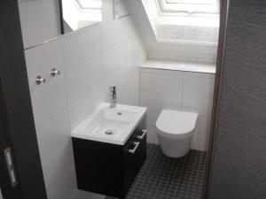 a bathroom with a sink and a toilet and a window at Ferienunterkunft Grüner Weg in Ueckermünde