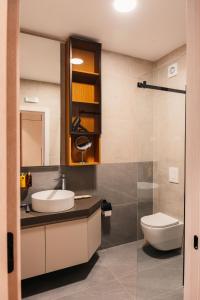 een badkamer met een wastafel, een toilet en een spiegel bij Hotel Nordik in Motički Gaj